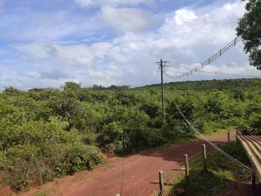 Kamanabillu Homestay, For Jog Falls Travellers Siddapur Exterior foto